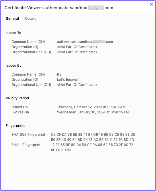 Viewing the certificate provided by Autocert