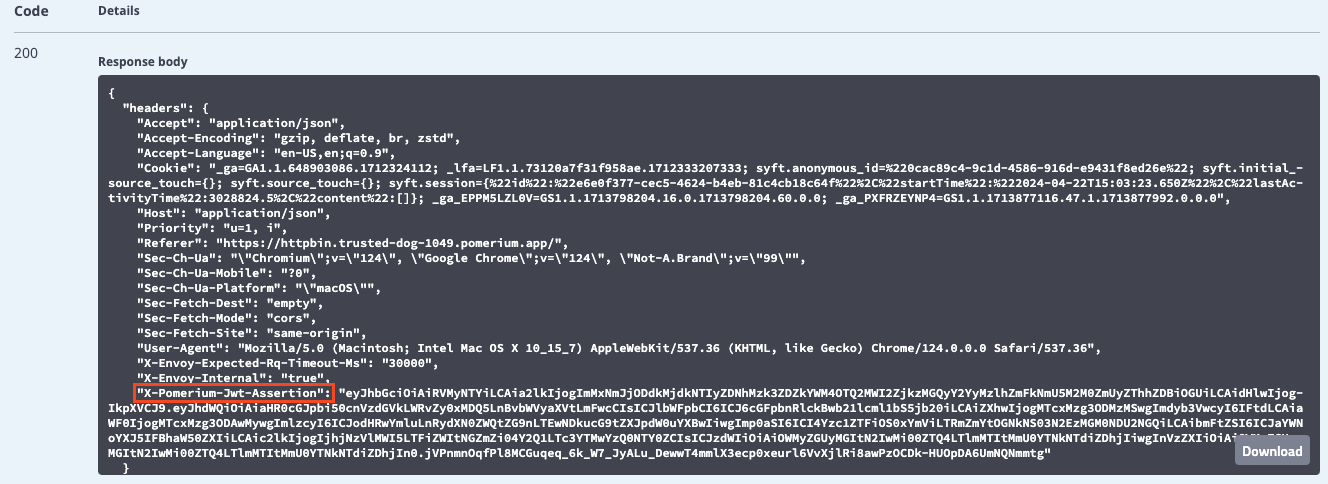 Inspecting the HTTP request headers in HTTPBin to view the JWT assertion header